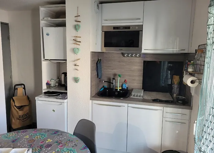 Διαμέρισμα Ideal : Et Centre A 2 Pas +un Garage Σαιντ-Μαξίμ