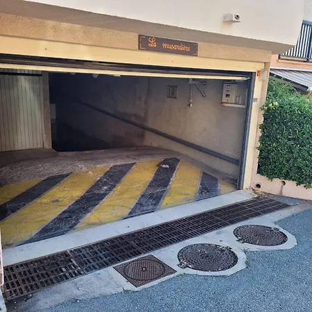 Apartment Ideal : Et Centre A 2 Pas +un Garage *