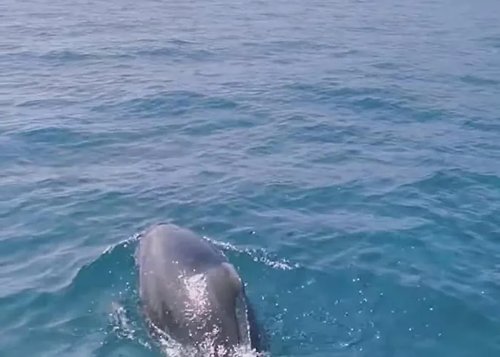 Ideal : Et Centre A 2 Pas +un Garage * Sainte-Maxime